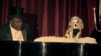Click to watch 'Lillians Wedding' (popup) Another Period